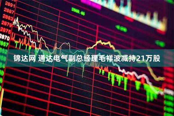 锦达网 通达电气副总经理毛祥波减持21万股