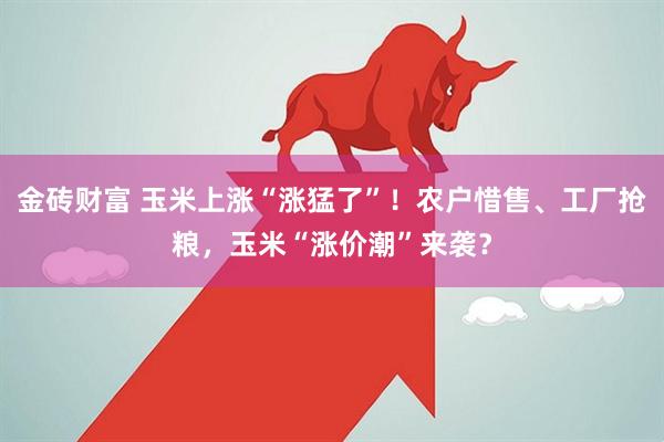 金砖财富 玉米上涨“涨猛了”！农户惜售、工厂抢粮，玉米“涨价潮”来袭？