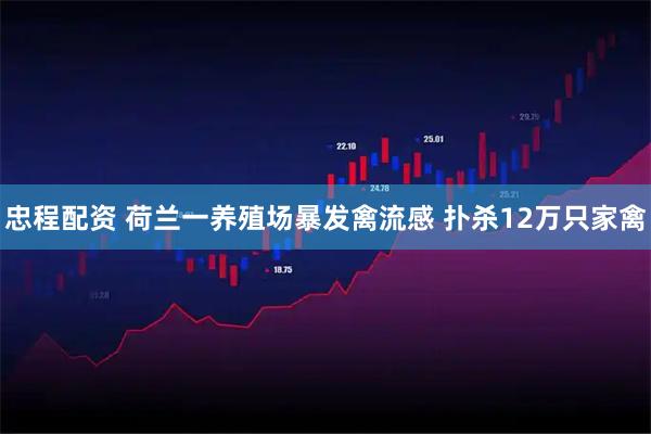 忠程配资 荷兰一养殖场暴发禽流感 扑杀12万只家禽