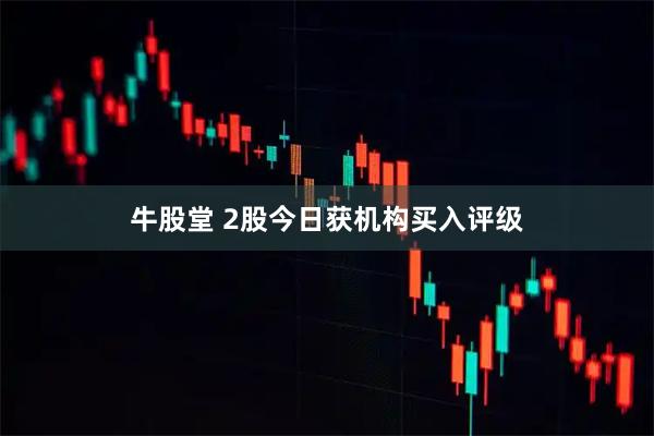 牛股堂 2股今日获机构买入评级