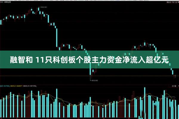 融智和 11只科创板个股主力资金净流入超亿元