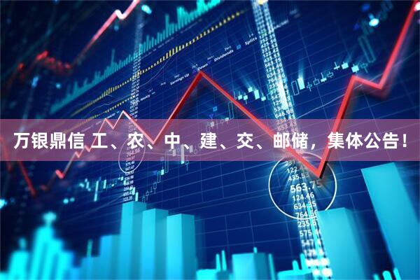 万银鼎信 工、农、中、建、交、邮储，集体公告！